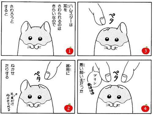 カッパの飼い方 そうだ 漫画を読もう 癒され漫画5選 1 動物園編 毎日漫画を読んでいこう